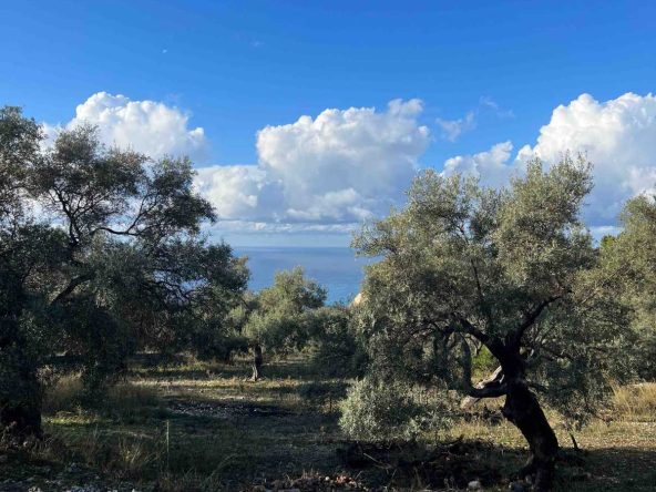 Lush 421m² Athani Lefkada Beachside Land with captivating sea views, showcasing potential for building and natural beauty.