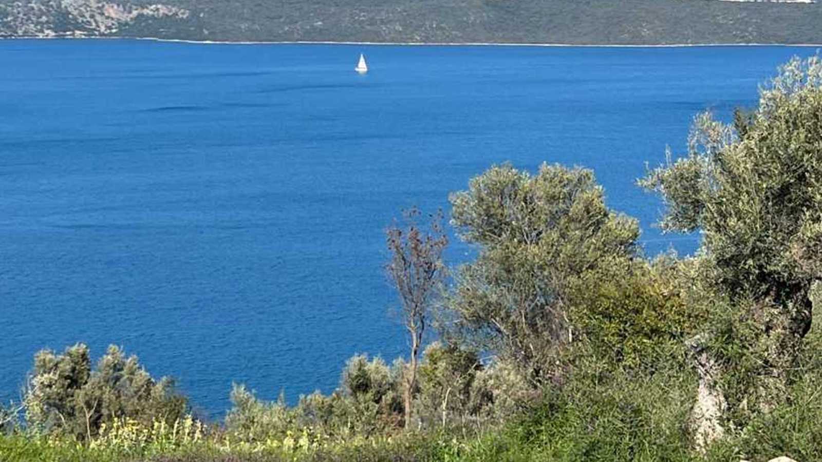 Coastal view of the Ionian Sea from Lefkada, with lush greenery in the foreground and a solitary sailboat on the horizon.