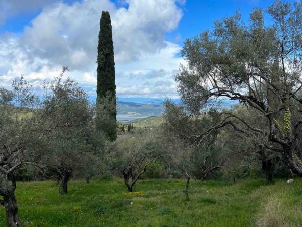 View of the 1300 square metre Spanochori Lefkada Land, highlighting its potential for development in a serene setting.