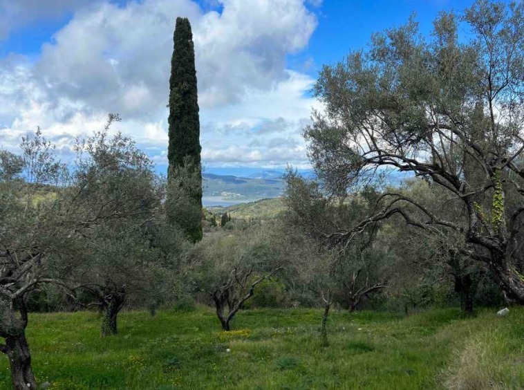 View of the 1300 square metre Spanochori Lefkada Land, highlighting its potential for development in a serene setting.