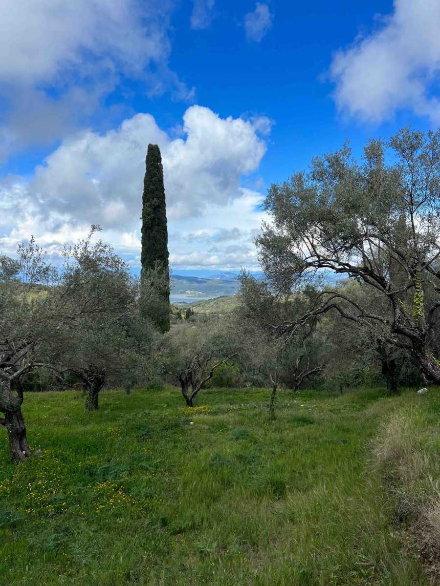 View of the 1300 square metre Spanochori Lefkada Land, highlighting its potential for development in a serene setting.
