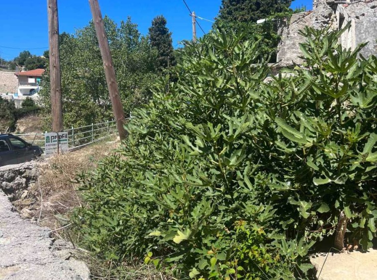 Panoramic view of the picturesque Lazarata Land Lefkada, showcasing its potential for building amidst stunning natural scenery.