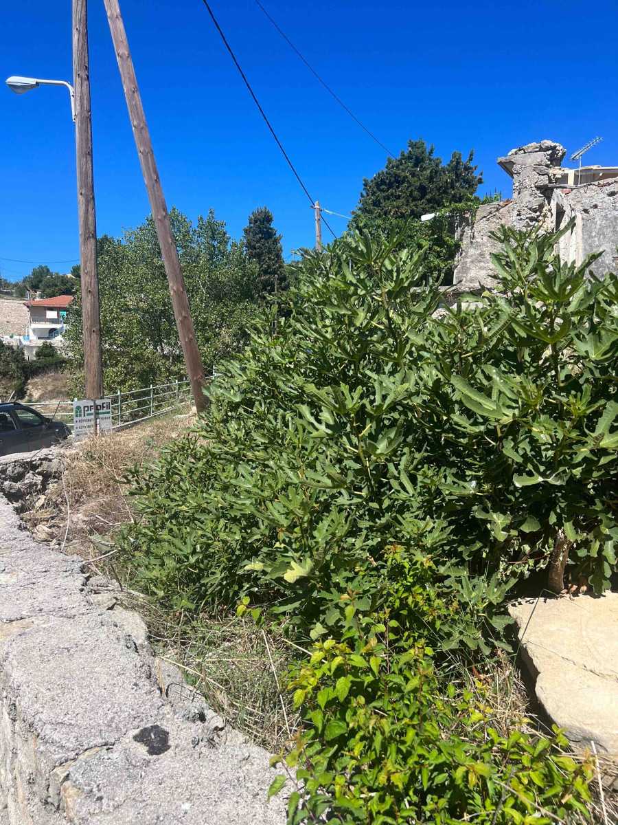 Panoramic view of the picturesque Lazarata Land Lefkada, showcasing its potential for building amidst stunning natural scenery.