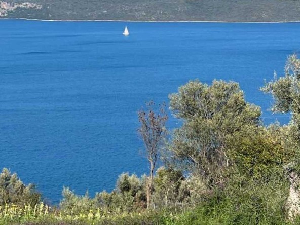 Coastal view of the Ionian Sea from Lefkada, with lush greenery in the foreground and a solitary sailboat on the horizon.