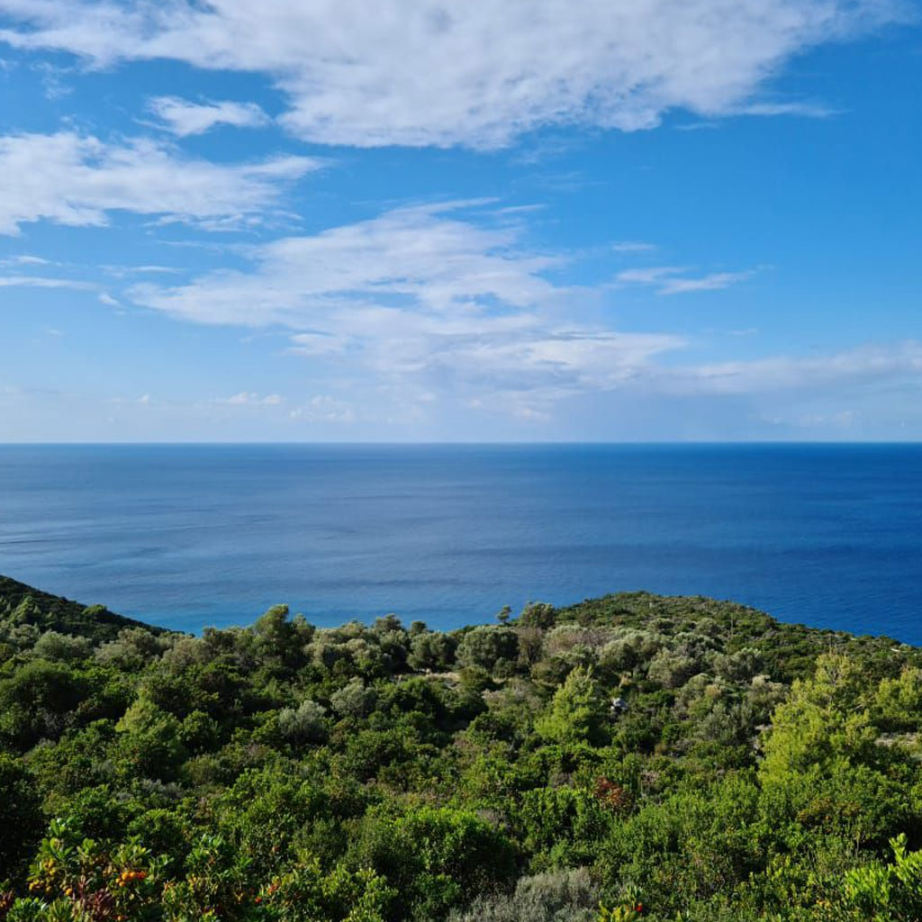 A stunning view of parcels of untouched land for sale in Porto Katsiki, Lefkada, with the turquoise sea in the background.